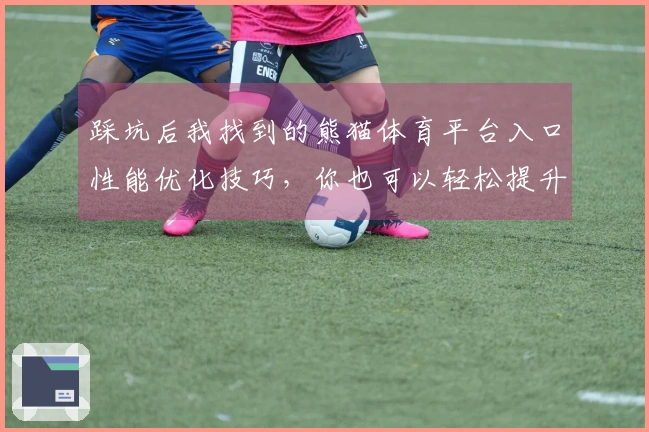 踩坑后我找到的熊猫体育平台入口性能优化技巧，你也可以轻松提升游戏体验