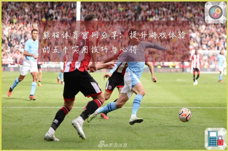 熊猫体育官网分享：提升游戏体验的五个实用技巧与心得