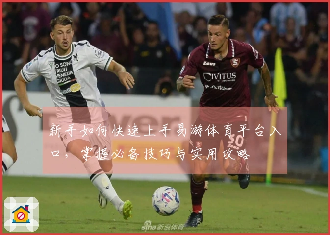 新手如何快速上手易游体育平台入口，掌握必备技巧与实用攻略